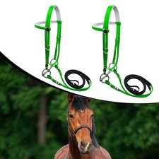 Horse Bridle with Rein