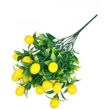 Artificial Fruit Realistic