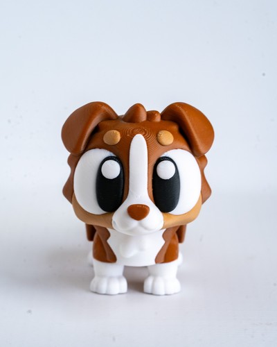 Australian shepherd dog - shepherd,