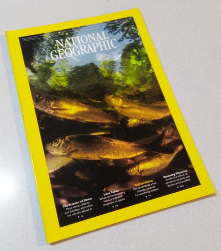 National geographic magazine - national,