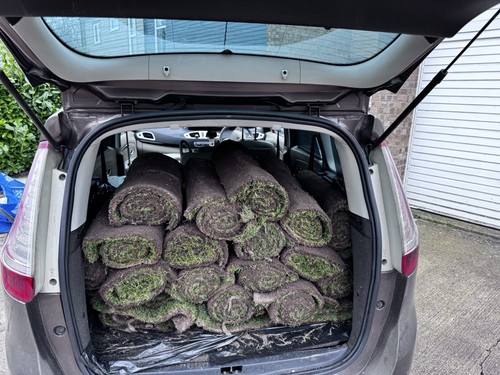 Real grass turf - grass, rolls