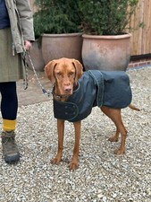 Traditional Hunter Green Waxed  Dog Coat Made In The UK