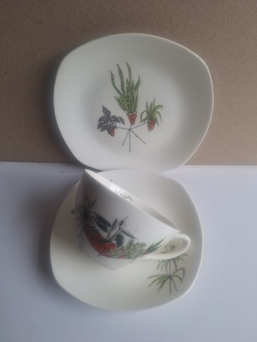 Midwinter plant life cup - midwinter,