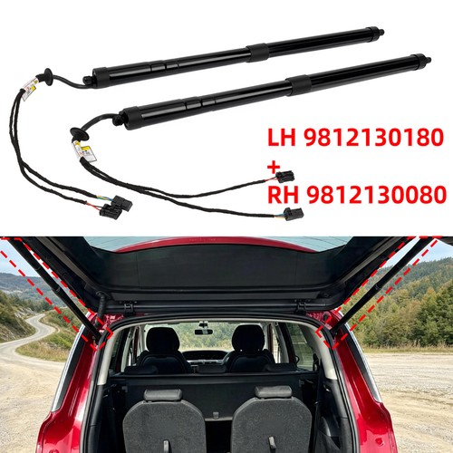 Pair rear electric tailgate - rear,