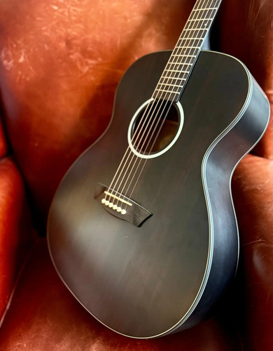 Washburn ebony folk - washburn,