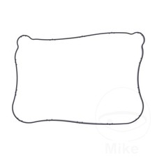 Genuine OEM Valve Cover Gasket