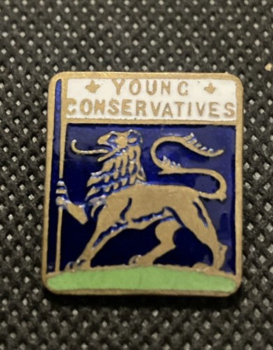 Young conservatives enamel pin - young,