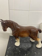 Gorgeous Big Shire Horse