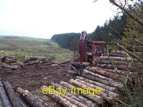 Photo 6x4 old forestry - photo,
