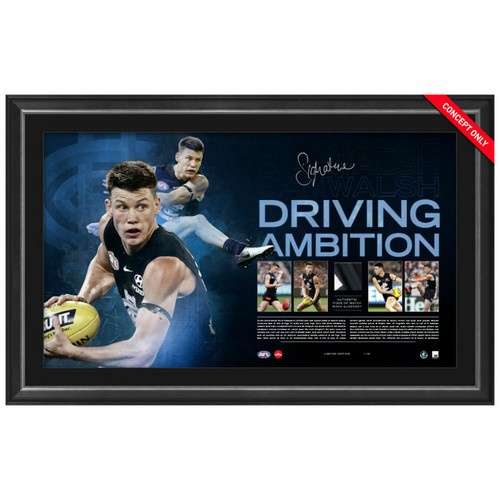 Sam walsh carlton signed - carlton,