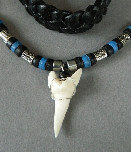 Large shark tooth - , necklace