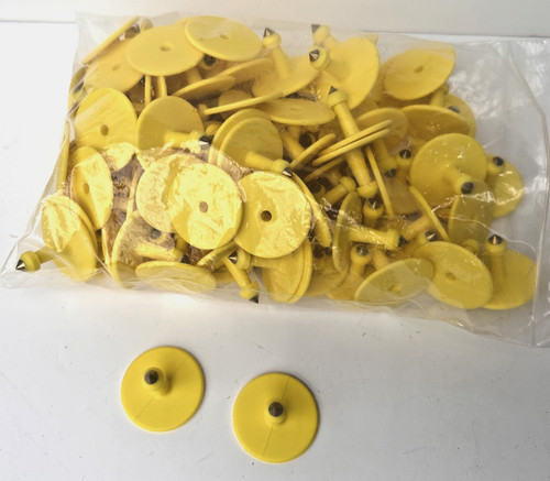 100 yellow cattle - 100,