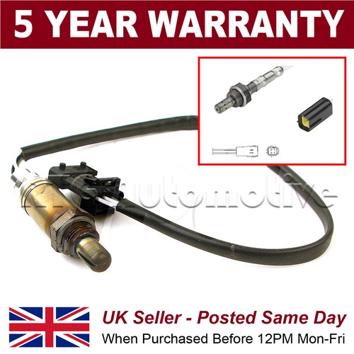 Front wire oxygen - front,
