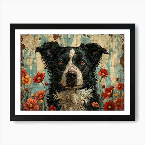 Border collie fine art - border,