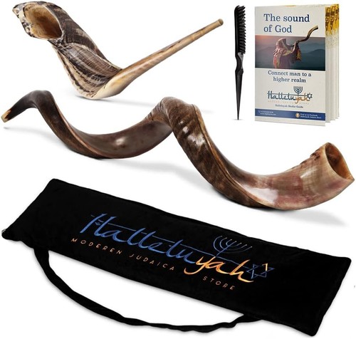 Natural kudu shofar - natural,