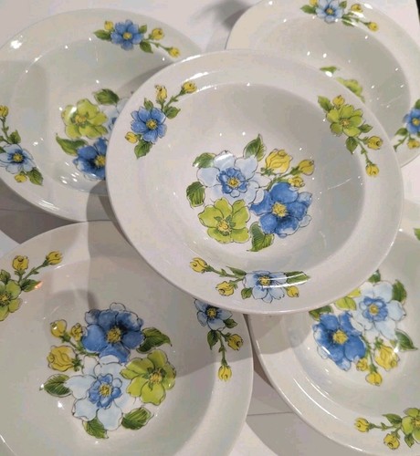 Vintage johnsons bros - vintage, snow