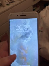 iPhone 7 Plus Rose Gold
