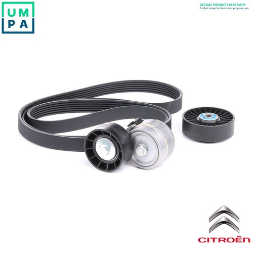 Genuine vribbed belt set - belt,