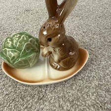 Vintage Rabbit And Lettuce