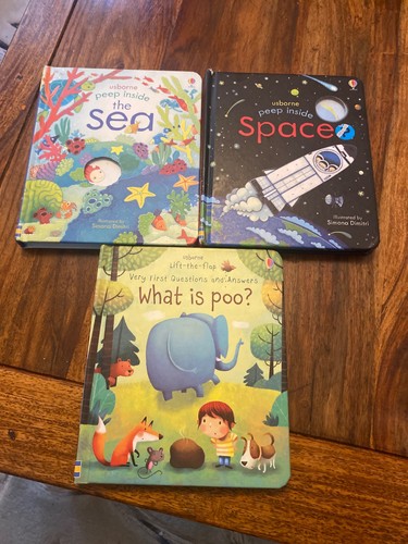 Usborne books bundle lift - usborne,