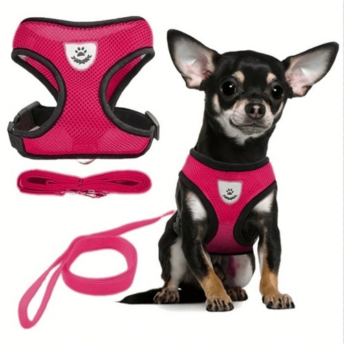 Dog harness puppy - pet, soft