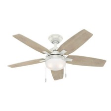 Hunter Ceiling fan with Lights