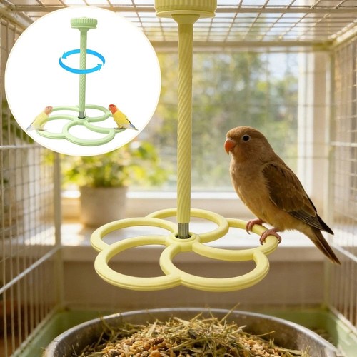 Parrot entertainment rotating - entertainment,
