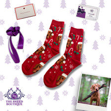 HUNGARIAN VIZSLA CHRISTMAS SOCKS RED FESTIVE DOG GIFT UK 5–11 US 6–12 EU 38–46