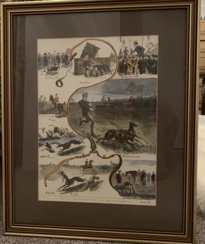 Greyhound coursing antique - coursing,