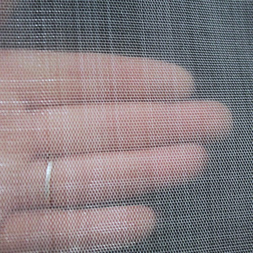 Insect netting net - netting, fine