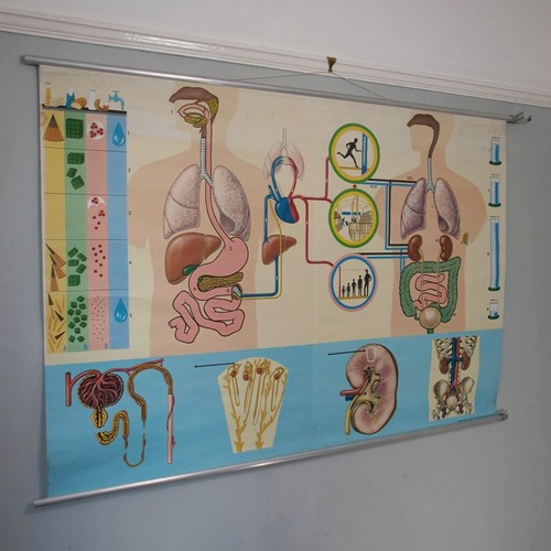 Large wall hanging - hanging, vintage