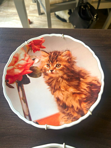 Set cute kitten s royal - 4,