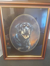 Rottweiler Print by Pollyanna Pickering