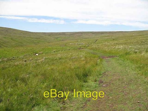 Photo 6x4 tracked - photo,