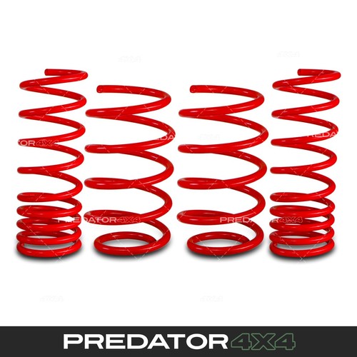 Lowering springs 25mm front - springs,