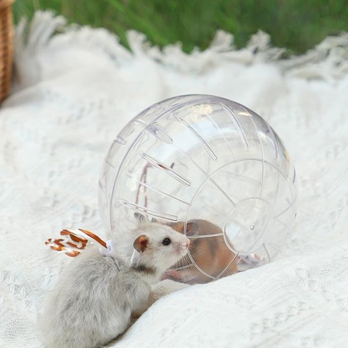 Clear hamster ball ventilated - ball,