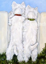 West Highland Terrier WESTIE
