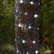 Prestige 100 LED Micro String