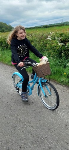 Dawes lil duchess - duchess, bike