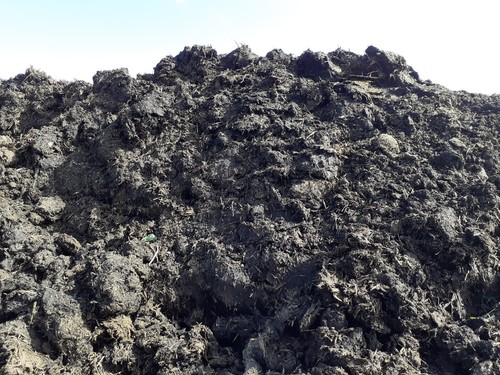 Cow manure compost multi - cow,