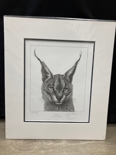Gary hodges caracal new - gary, caracal,
