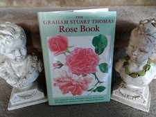 The Graham Stuart Thomas Rose