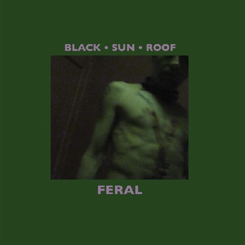 Black sun roof feral new - sun,