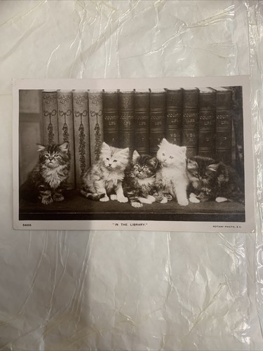 Vintage 1906 postcard little - postcard,