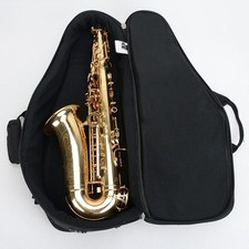 Alto Saxophone Case Sax Gig