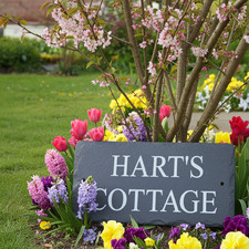 Garden Signs ~ House Signs ~