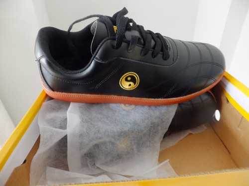 Tai chi shoes brand new - tai,