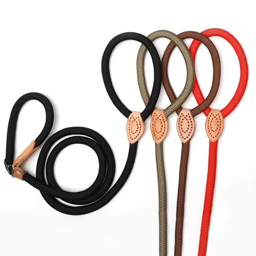 Dog leash slip rope lead - dog,