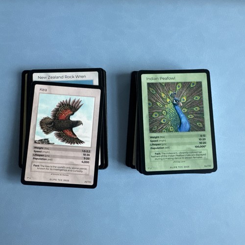 Life tcg birds - life,