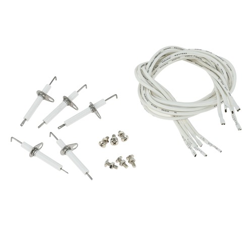 Ceramic electrode with - ceramic,